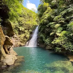 A Trilha para a Cachoeira Lagoa Azul: 5 km, média dificuldade, elevação 344m. Cachoeira incrível no litoral de SP, ideal para banho e mergulho seguro.
